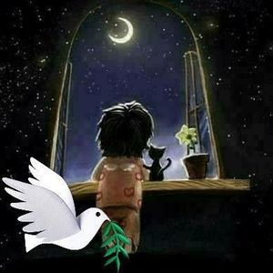 Meet your Posher, Abigail